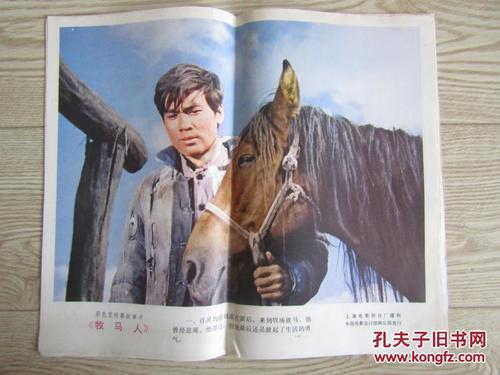 爱尔兰地址证明怎么仿制